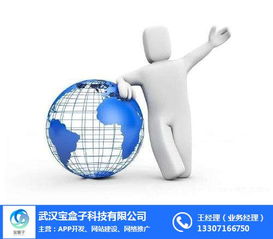 武汉宝盒子科技 图APP开发与神农架网络推广的技术融合之道
