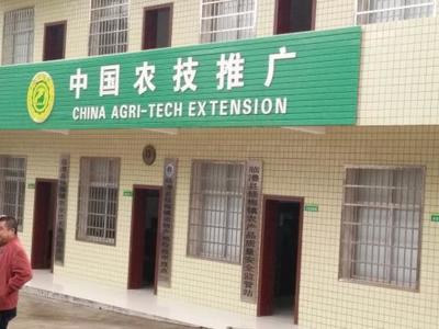 农业技术推广总站与农业综合执法大队 选择技术推广服务的优势分析